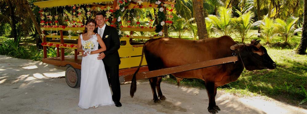 Seychellen Hochzeit / Heirat / Trauung